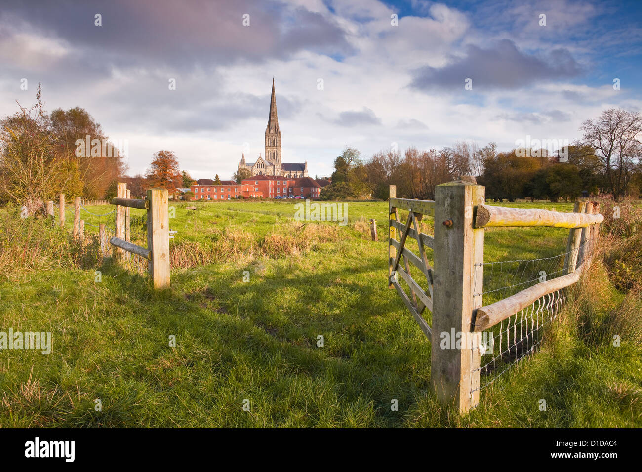 Salisbury cathedral and the west harnham water meadows in Wiltshire, England. Stock Photo