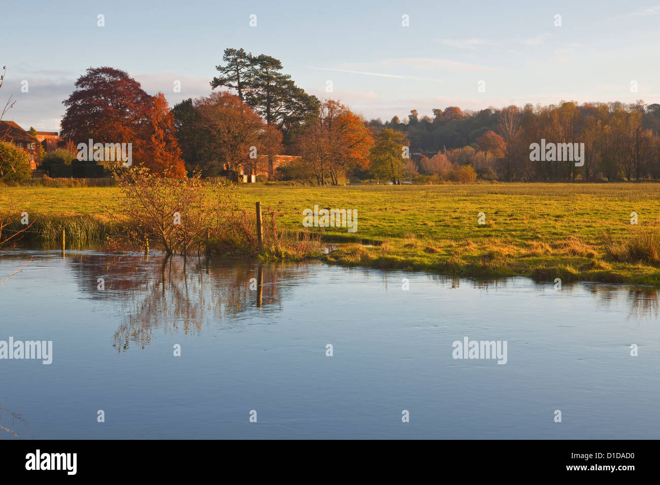 The West Harnham water meadows on the edge of Salisbury Stock Photo Alamy