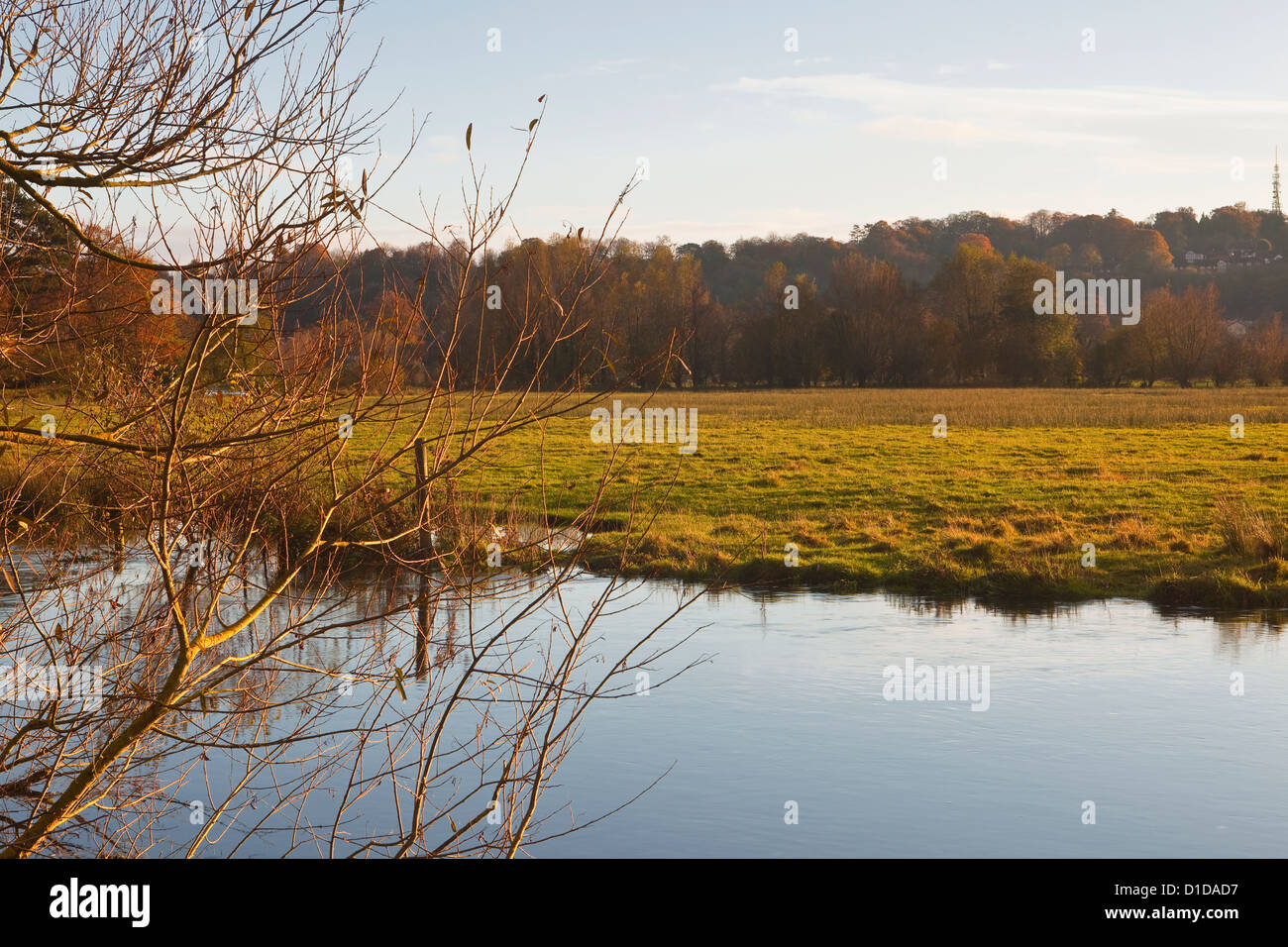 The West Harnham water meadows on the edge of Salisbury Stock Photo Alamy