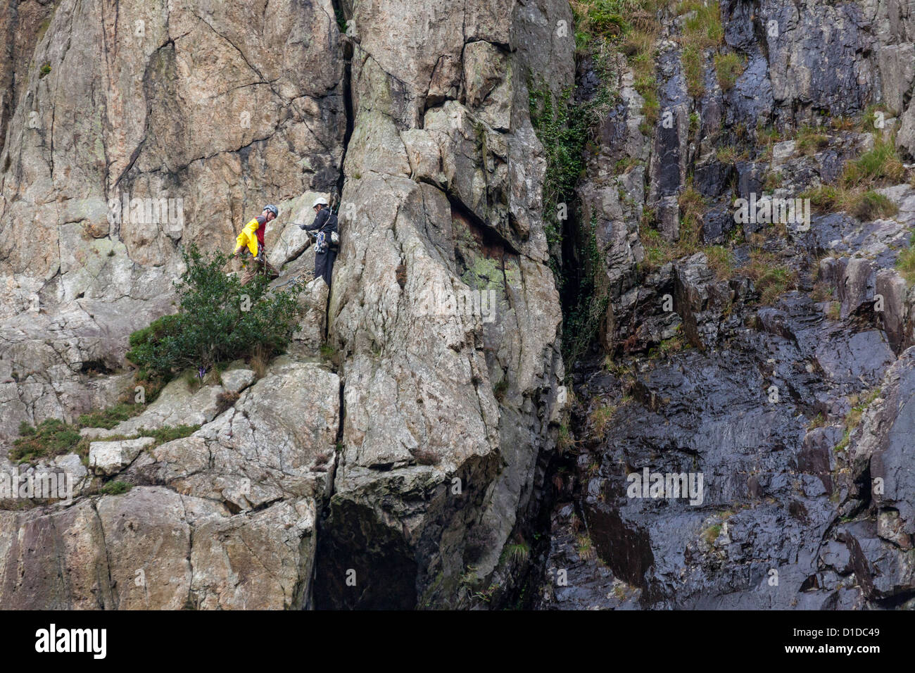 Rock climbing in Snowdonia Stock Photo Alamy