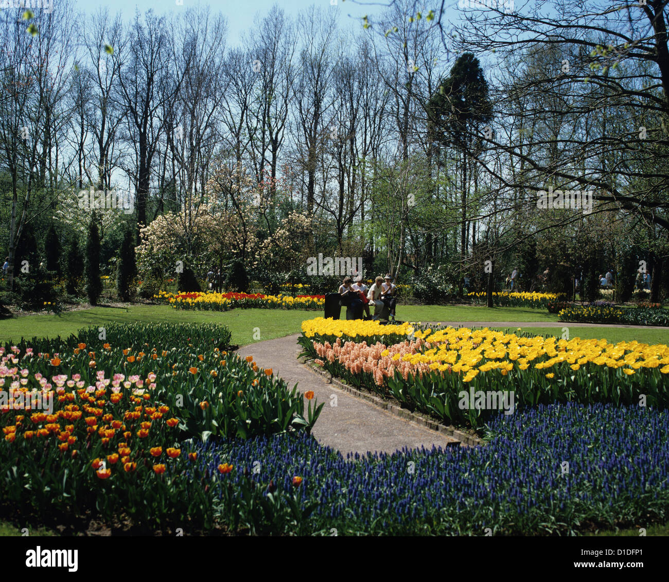Flower display at the Keukenhof garden, the world's largest flower