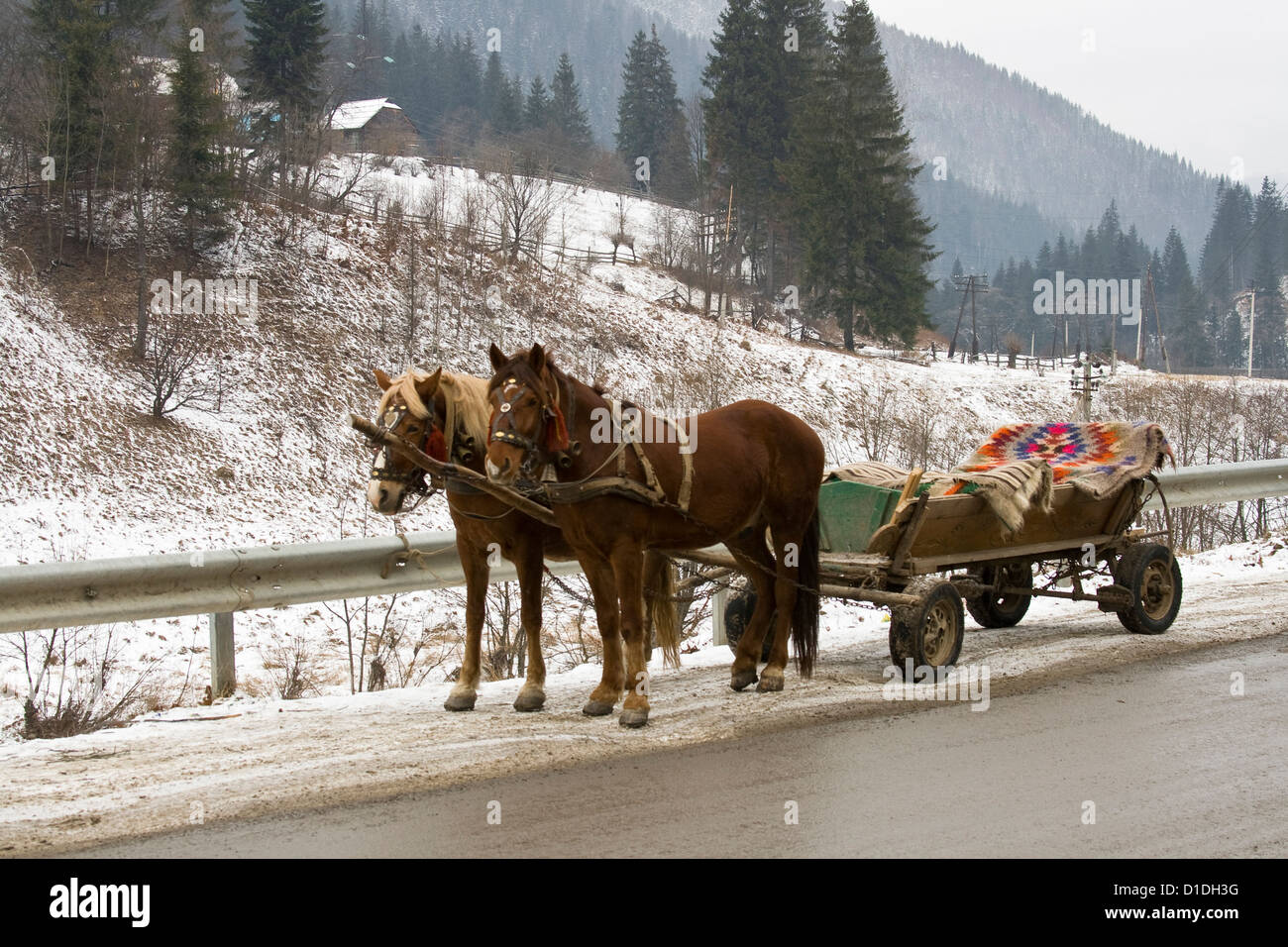 Winter horse carriage hi-res stock photography and images - Alamy