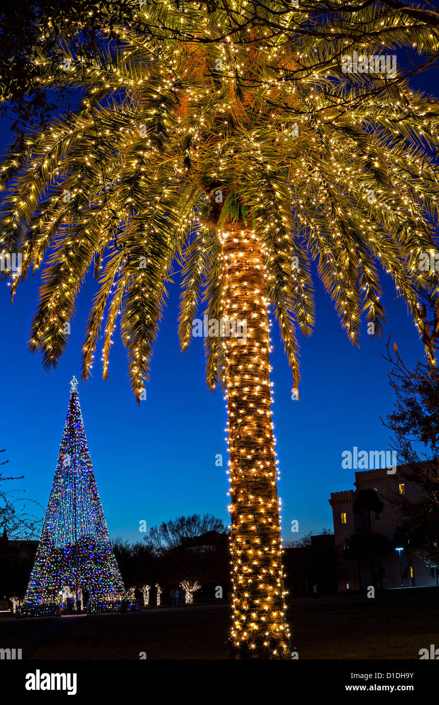 Palm tree covered in fairy lights for Christmas in historic Marion