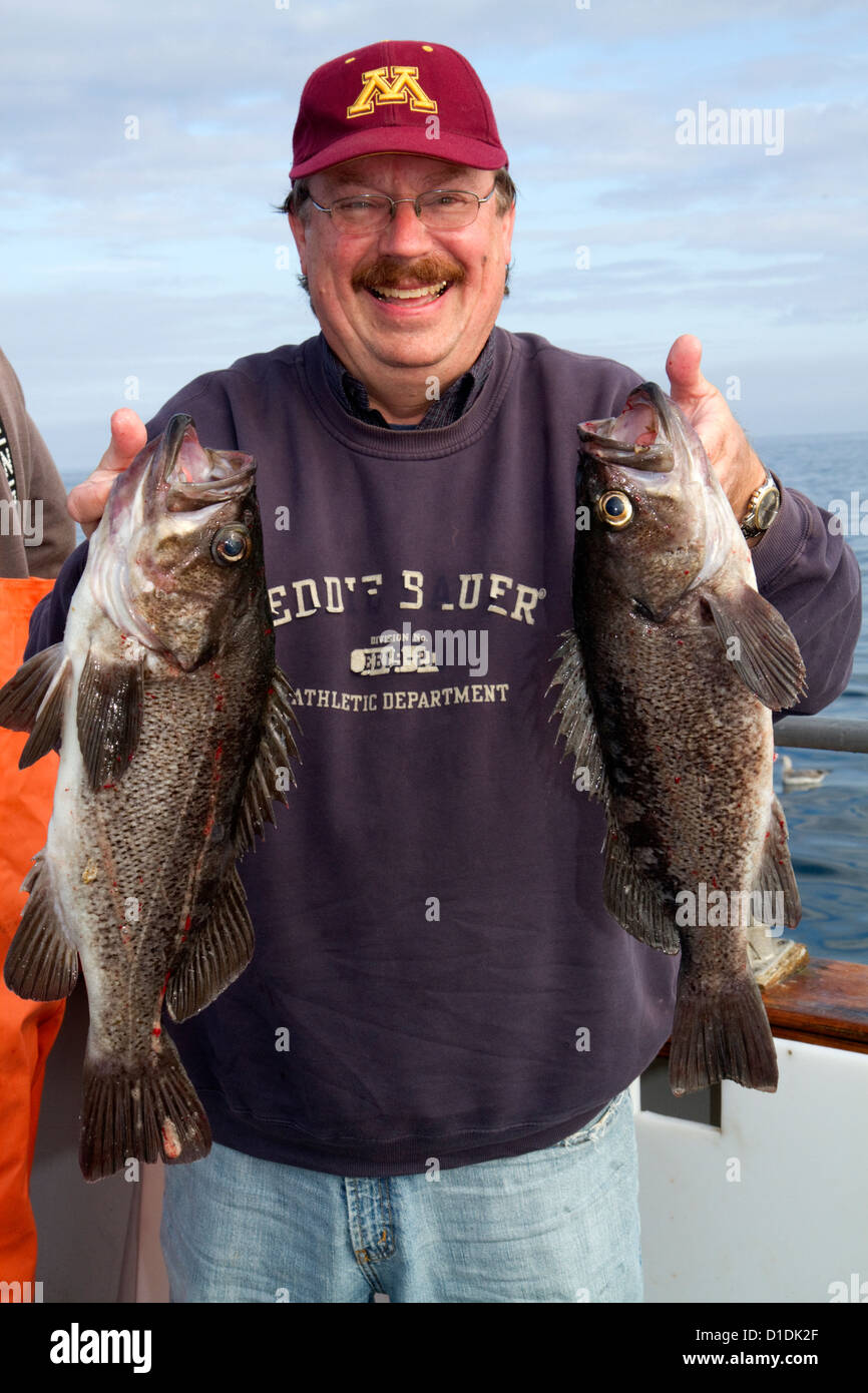 Rockfish hires stock photography and images Alamy