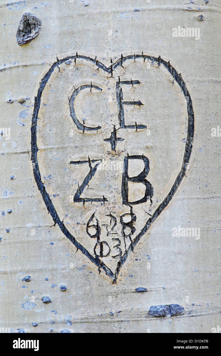 Graffiti carved into aspen tree trunk in Northern Arizona. Stock Photo