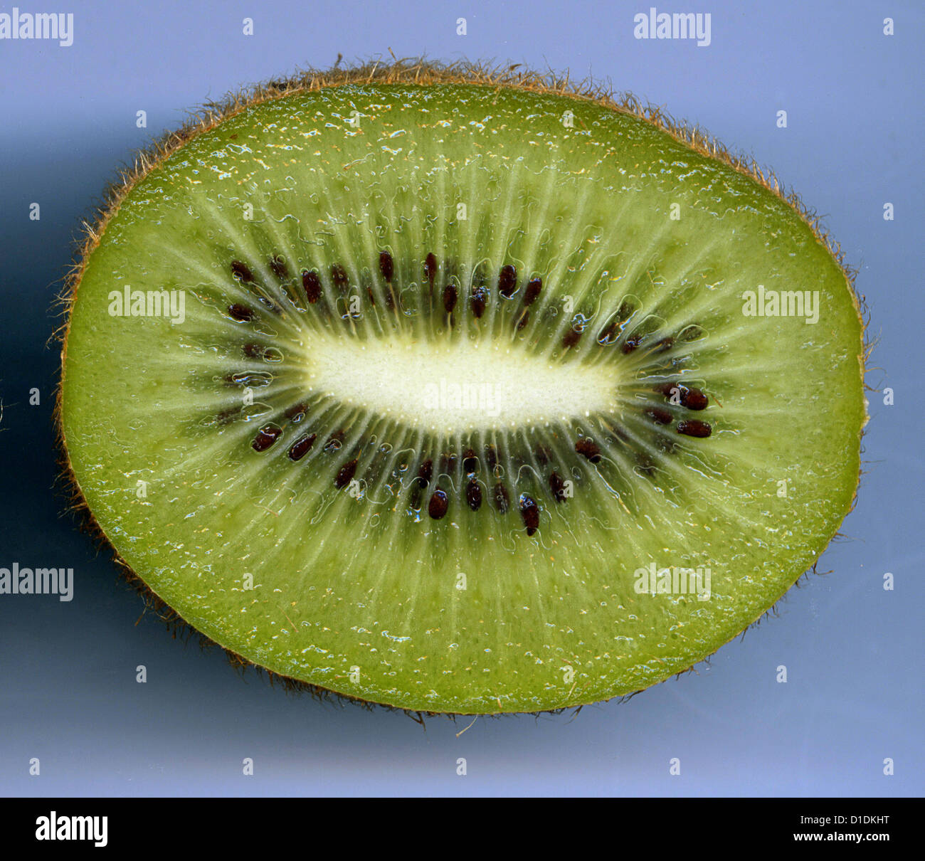 sliced kiwi fruit Stock Photo