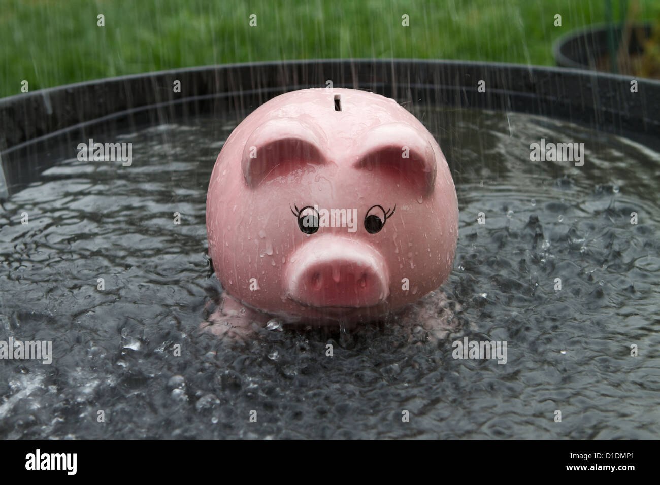 Pink Piggy bank getting wet in the rain Stock Photo