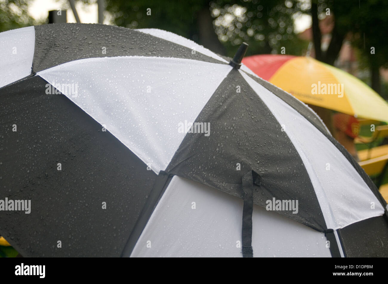 wet summer umbrella umbrellas British soggy rain raining rained event events weather bad pouring with poured tipping it down dri Stock Photo