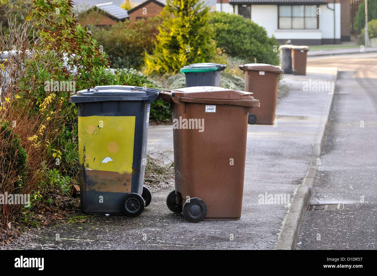 Black and brown 'wheely bins' left outside on a footpath on a frosty morning. Stock Photo