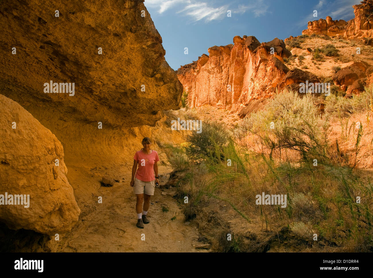 OR00895-00...OREGON - Hiker on the trail up Juniper Gulch, a spur canyon to Leslie Gulch near Owyhee Lake. Stock Photo