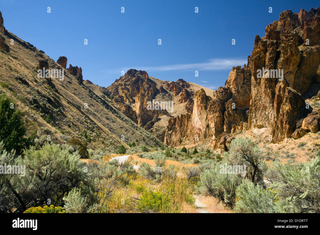 OR00898-00...OREGON - Spires and walls of weathered and eroded volcanic tuff in Leslie Gulch. Stock Photo