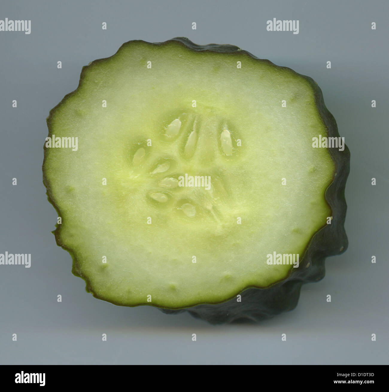 cucumber slice Stock Photo