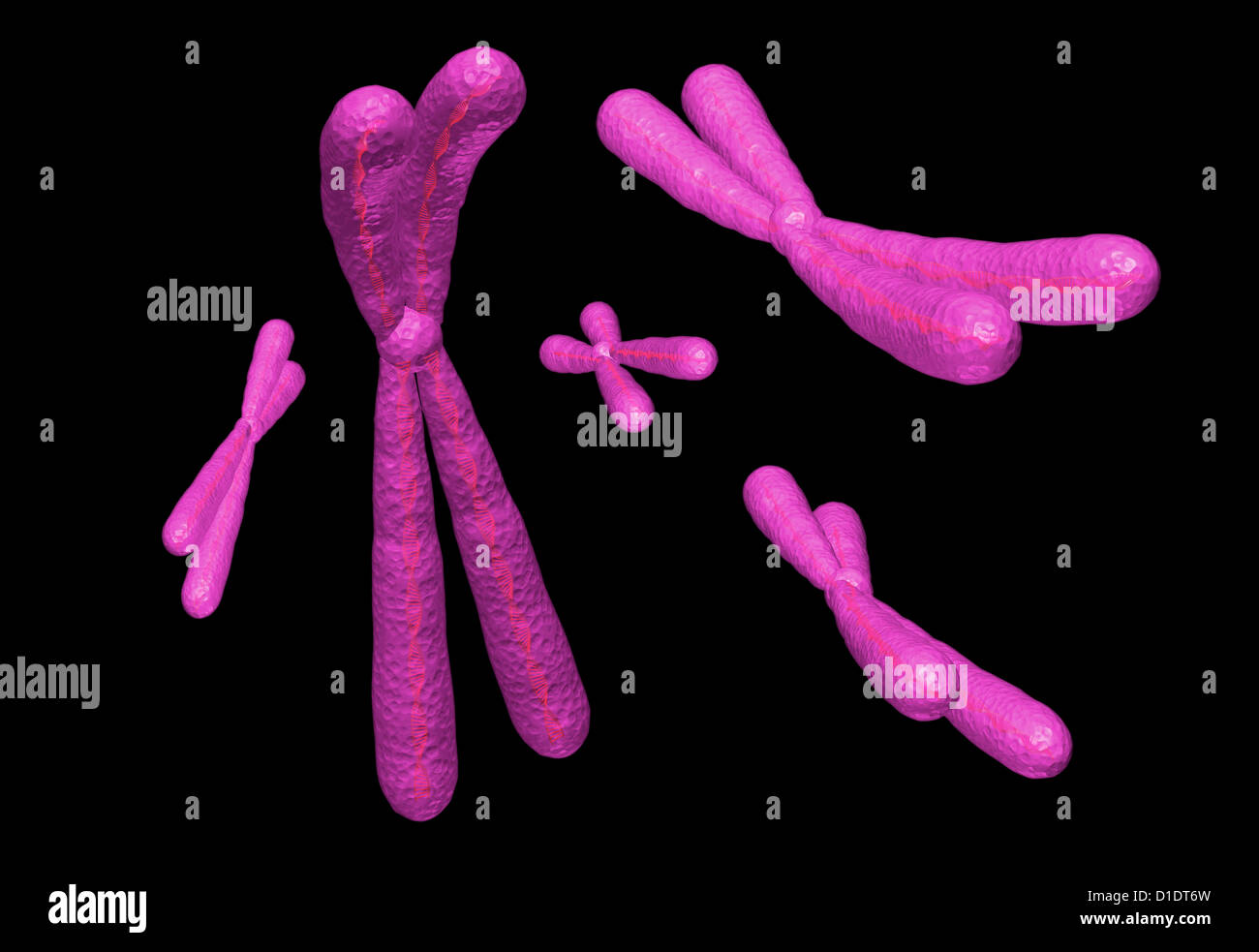 illustration of human chromosome Stock Photo - Alamy