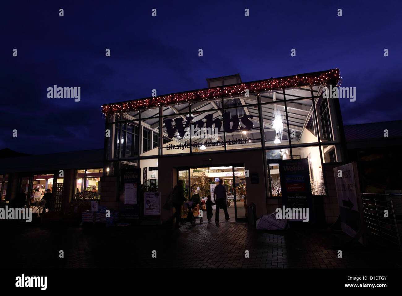 Webbs Garden Centre, Droitwich Worcs UK during the Christmas selling period. Stock Photo