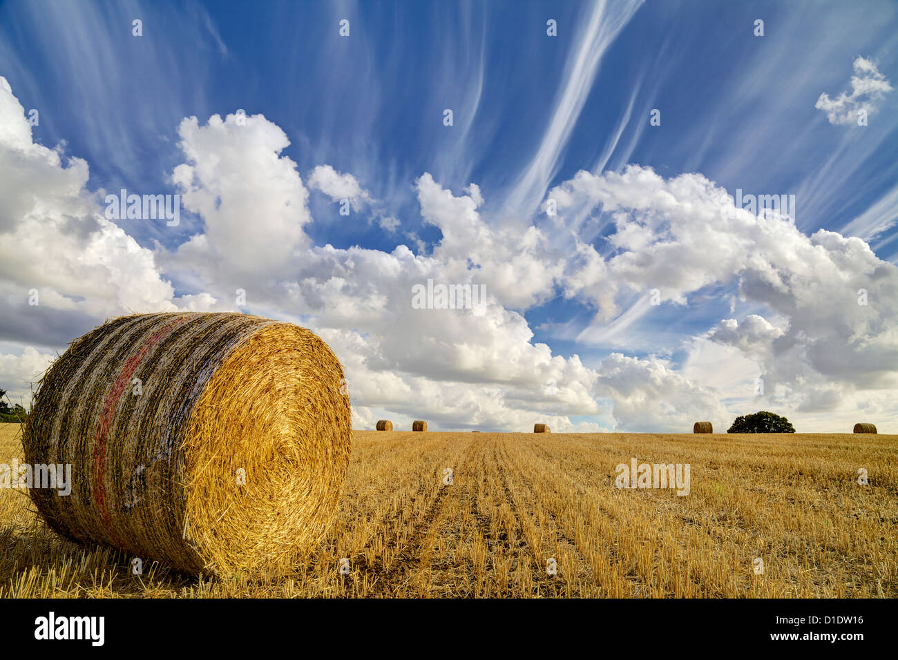A round straw bale in a field with a blue cloudy sky. Other bales are ...