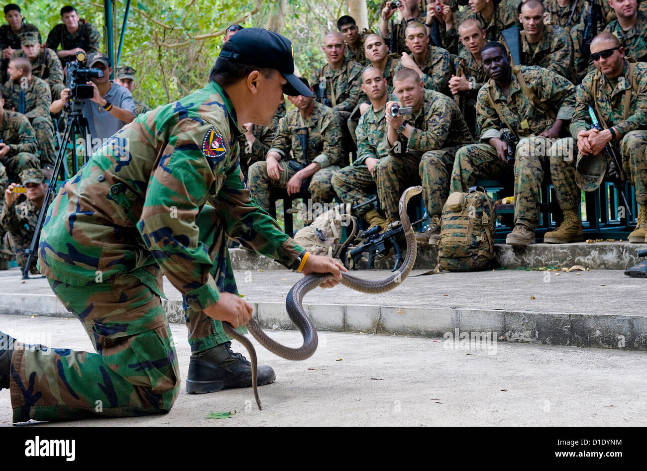 A Royal Thai Marine handles a cobra during the jungle survival class February 8, 2010 in Thailand. Stock Photo