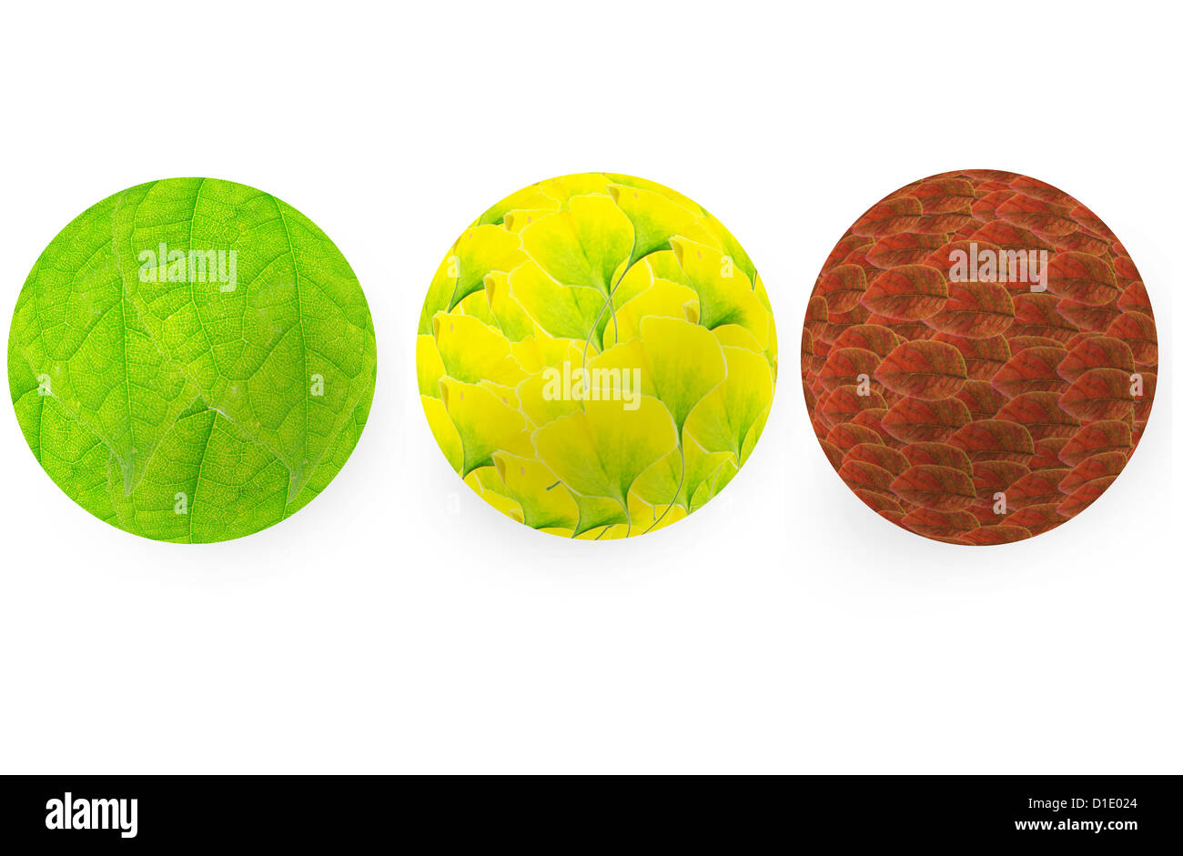 Three spherical objects.Leaves composition Stock Photo Alamy