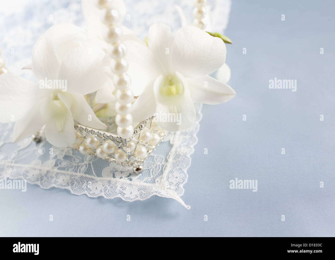 Dendrobium Phalaenopsis Stock Photo