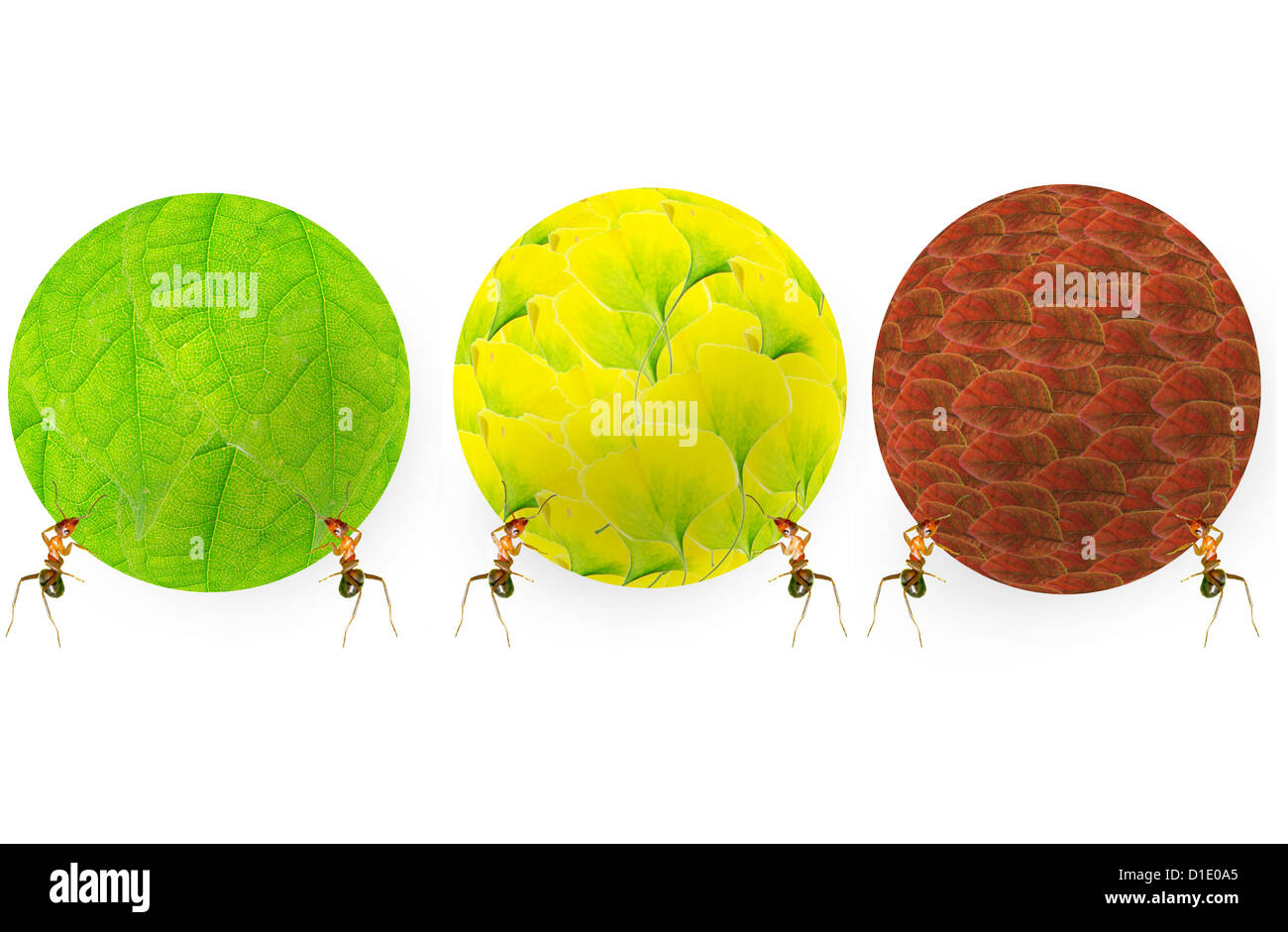 Spherical Objects List