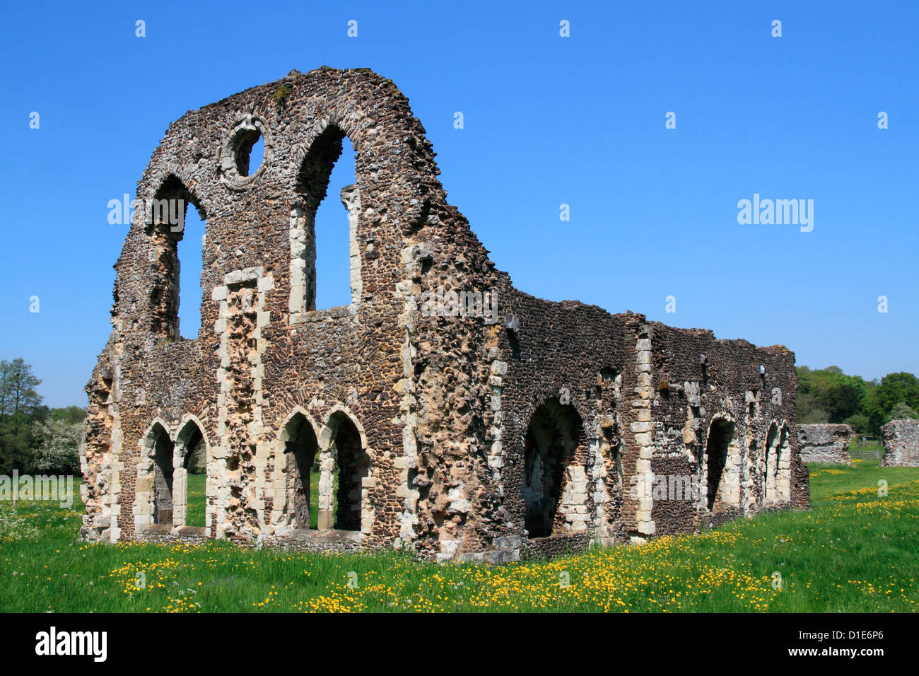 Waverley Abbey, near Farnham, Surrey, England, United Kingdom, Europe Stock Photo