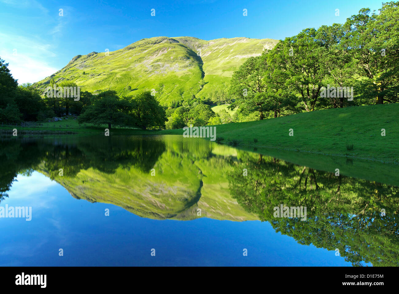 Tarn near Patterdale, Lake District National Park, Cumbria, England, United Kingdom, Europe Stock Photo
