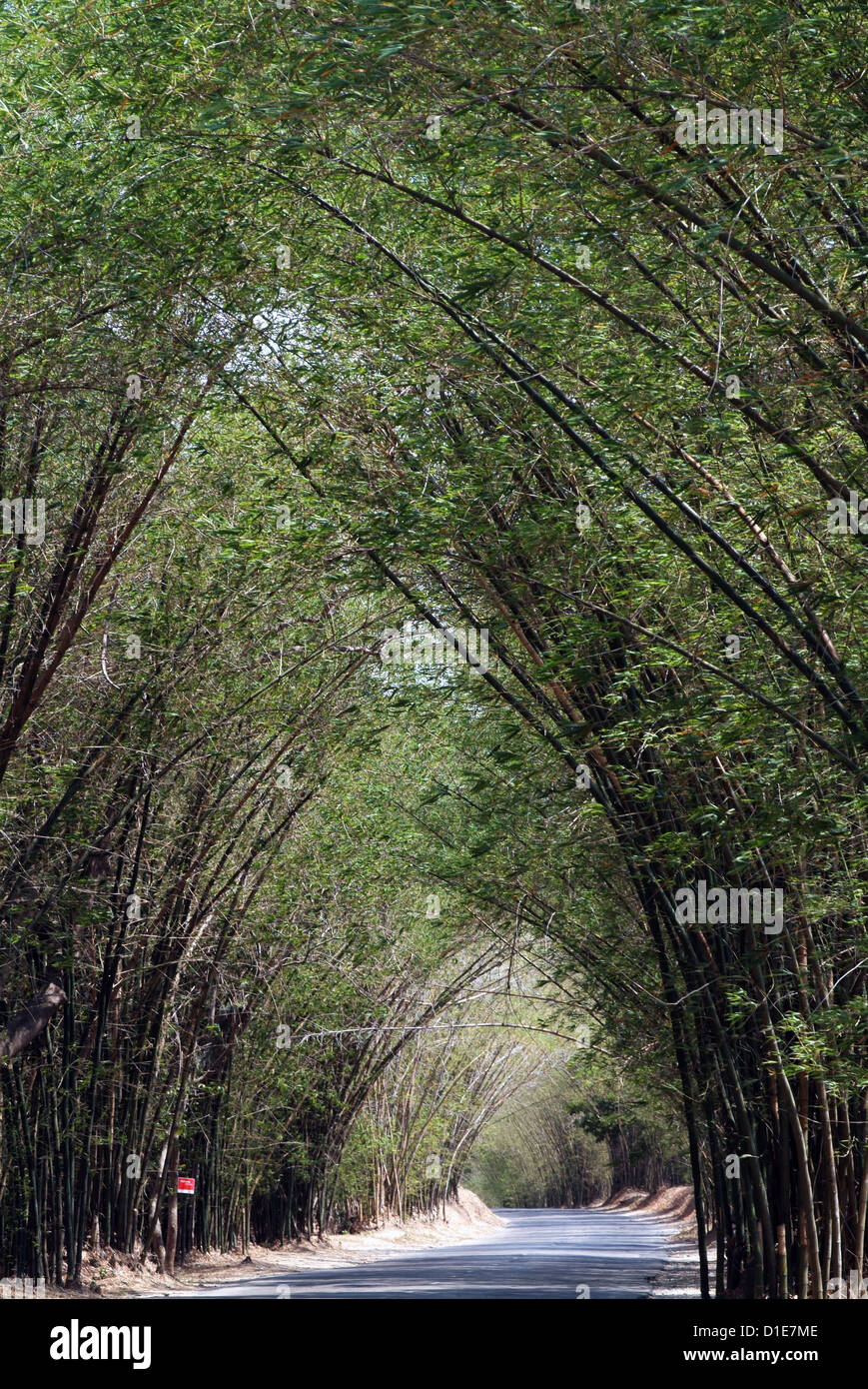 St elizabeth jamaica hires stock photography and images Alamy