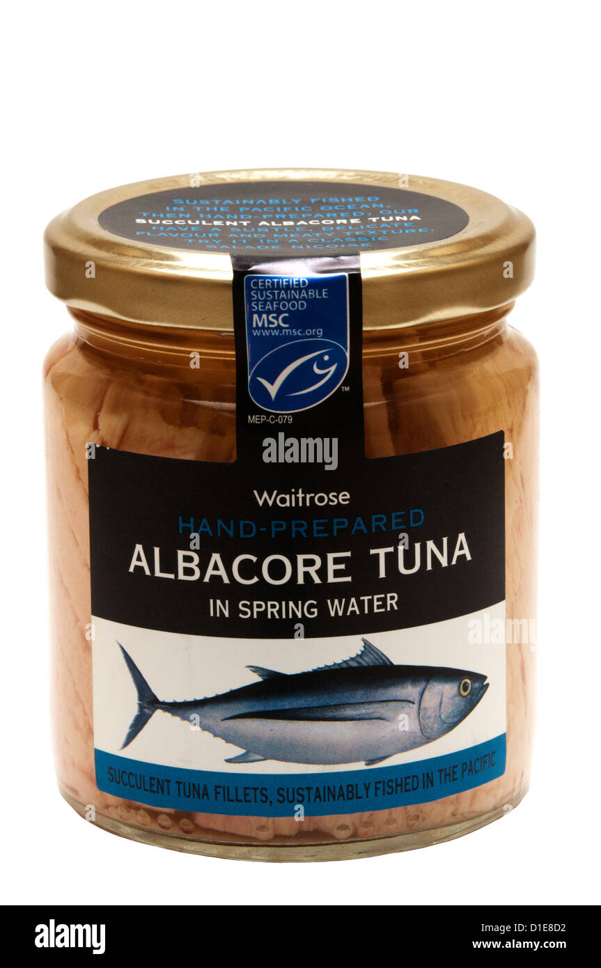 A jar of Waitrose Albacore Tuna in Spring Water. Stock Photo