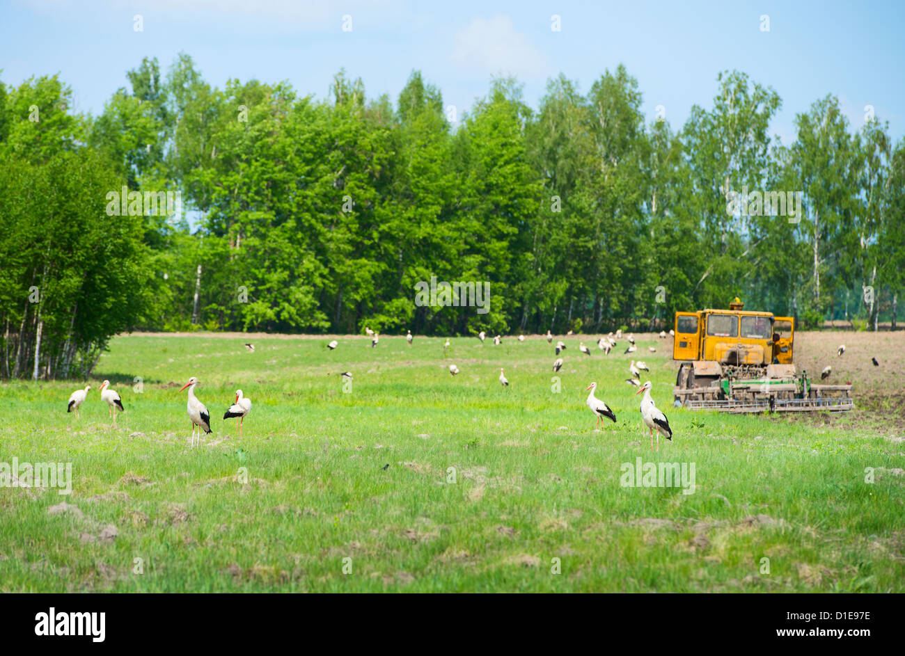 Green tractor white background hi-res stock photography and images - Alamy