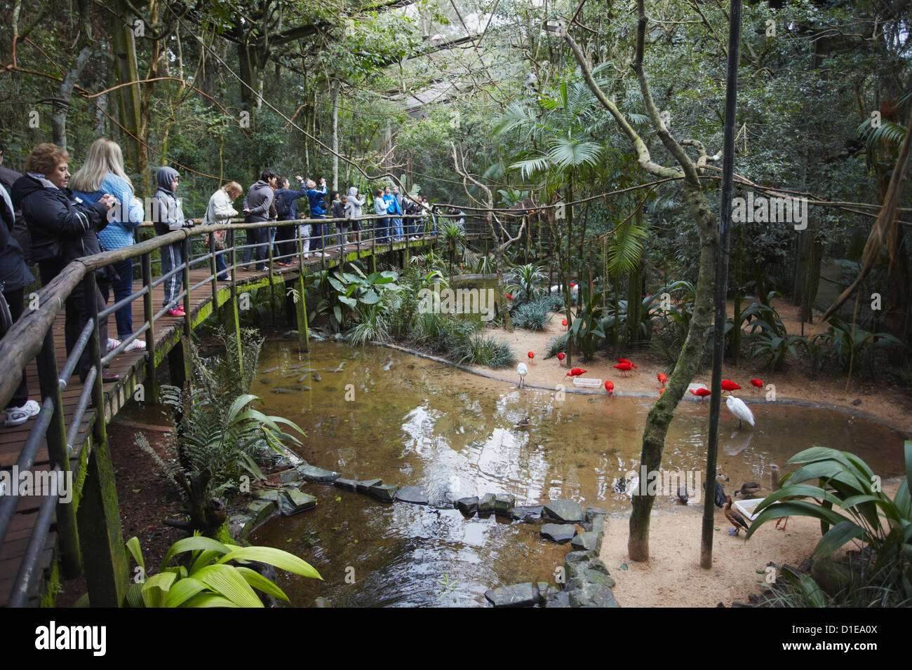 People inside walk-in enclosure at Parque das Aves (Bird Park), Iguacu, Parana, Brazil, South America Stock Photo