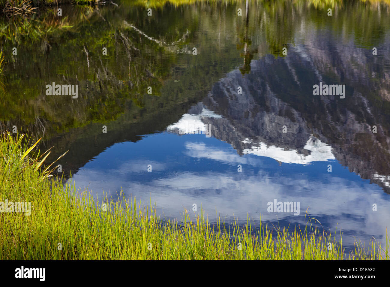 New zealand peters pool hi-res stock photography and images - Alamy