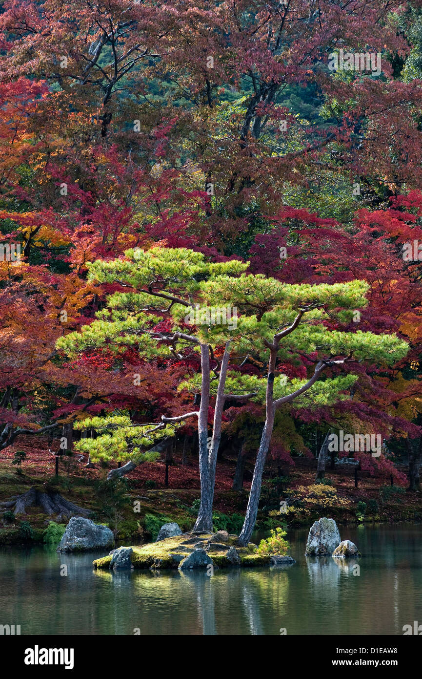 Colourful autumn foliage around the Mirror Pond (Kyoko-chi) in the gardens of Kinkaku-ji (the Temple of the Golden Pavilion), Kyoto, Japan Stock Photo