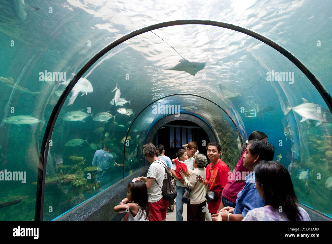 Phuket Aquarium, Phuket, Thailand Stock Photo Alamy