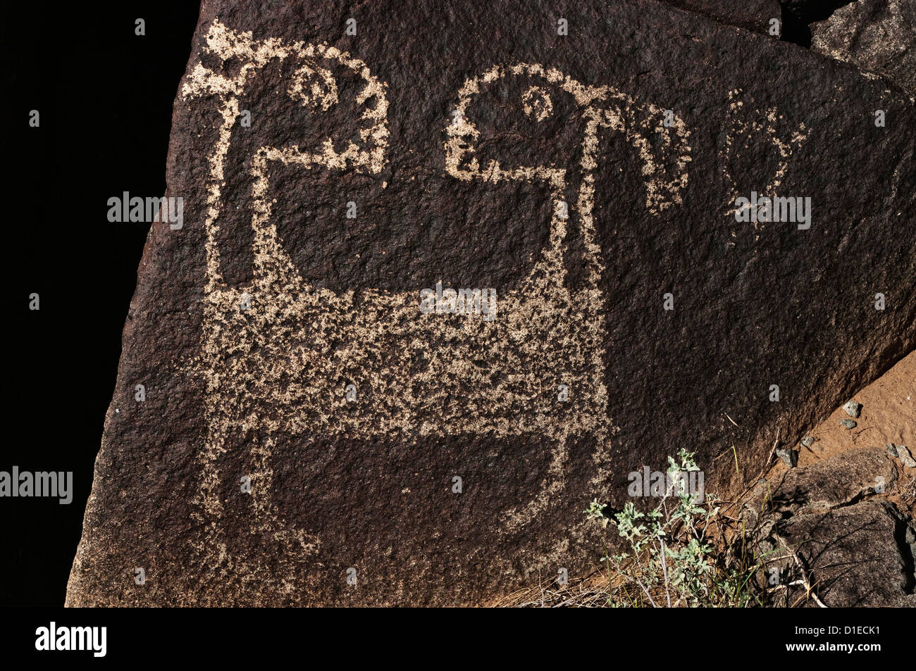 Two-headed goat in Jornada Mogollon style rock art at Three Rivers Petroglyph Site, near Sierra Blanca, New Mexico, USA Stock Photo
