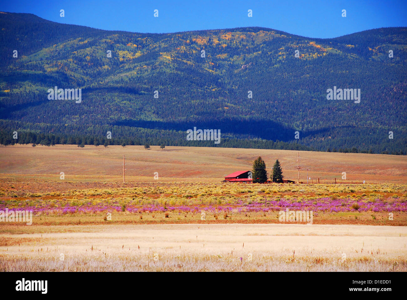 Angel fire ski resort hires stock photography and images Alamy