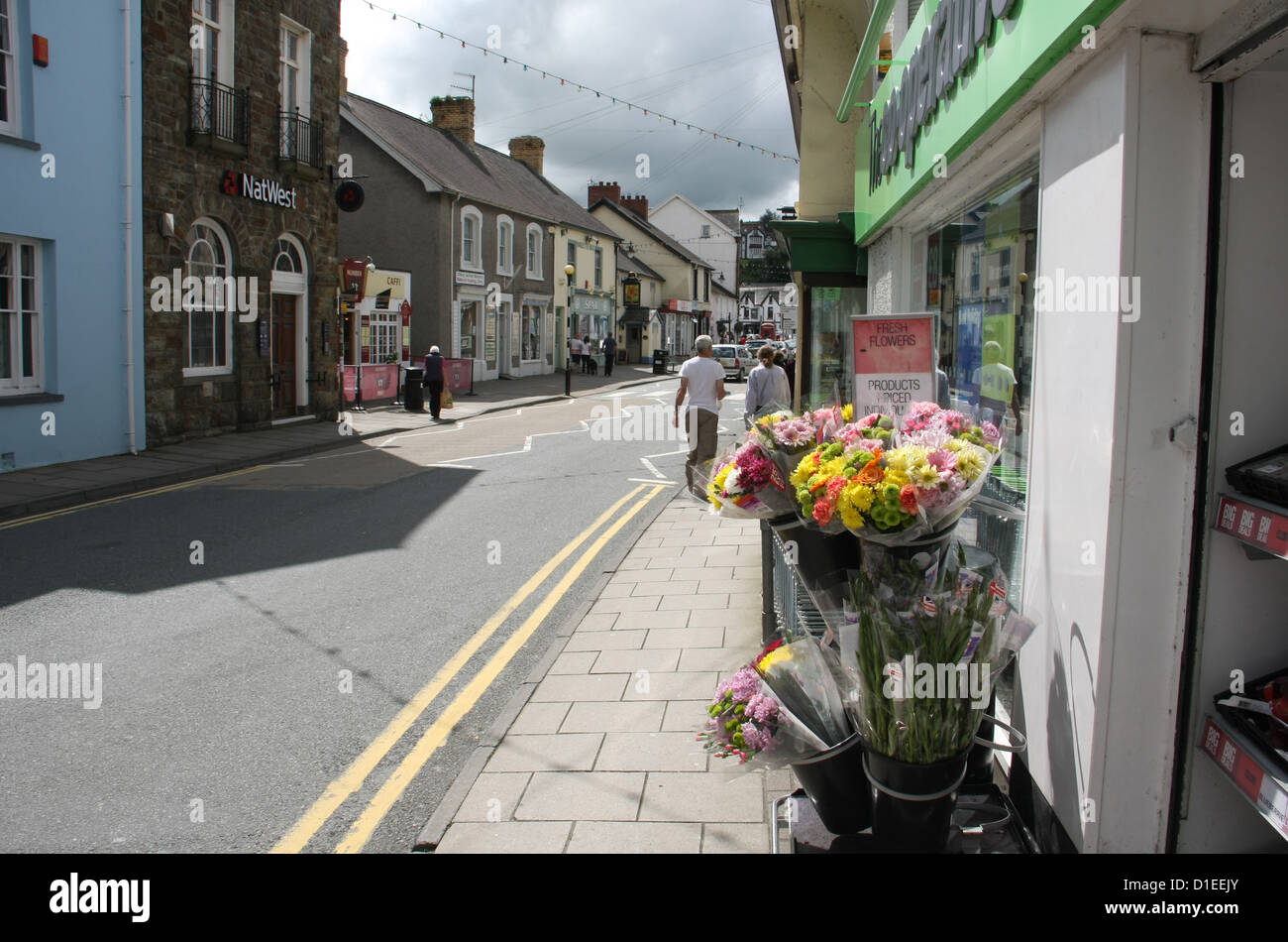 Street in Newcastle Emlyn in Wales Stock Photo Alamy