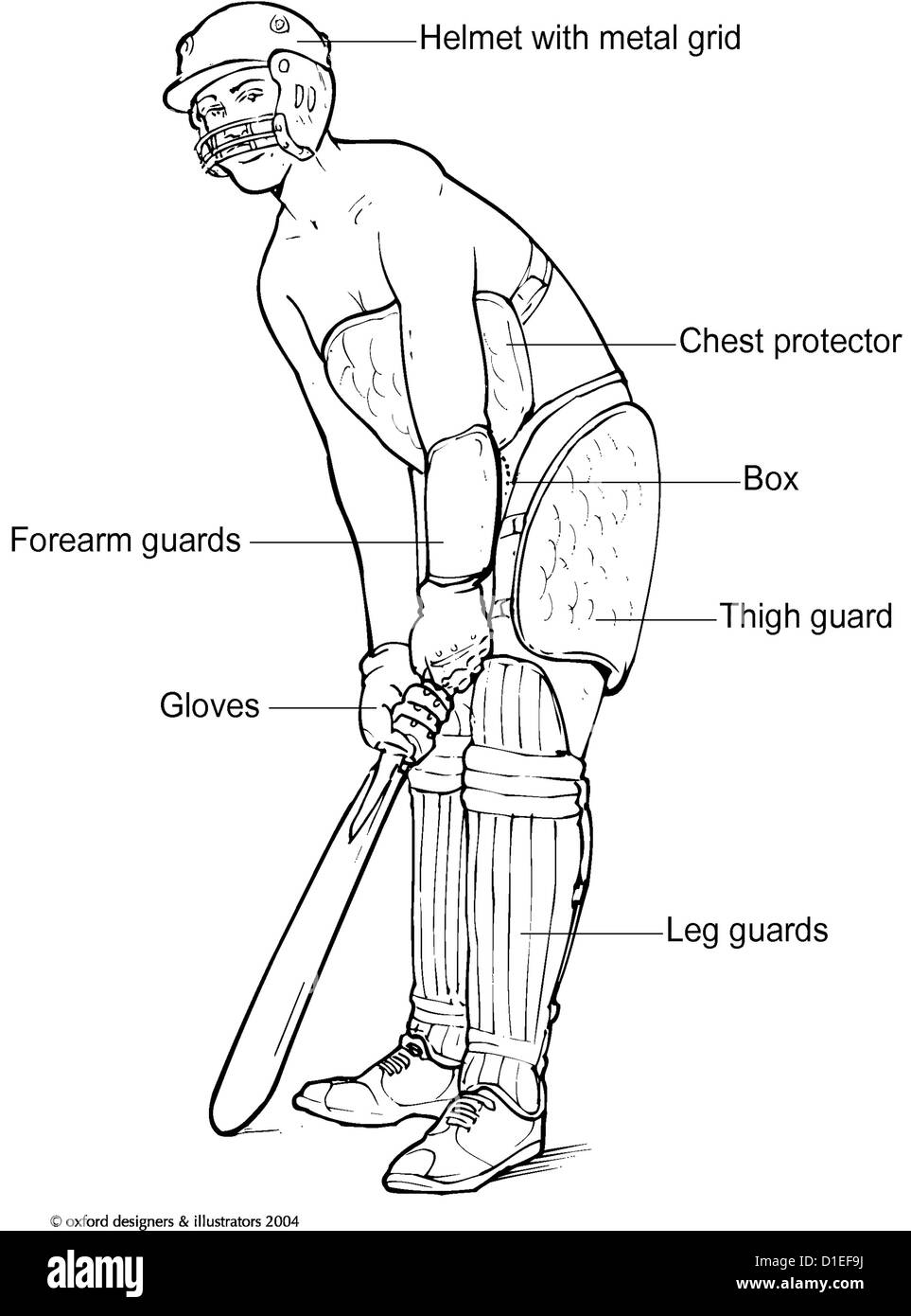 Cricketer Stock Photo Alamy