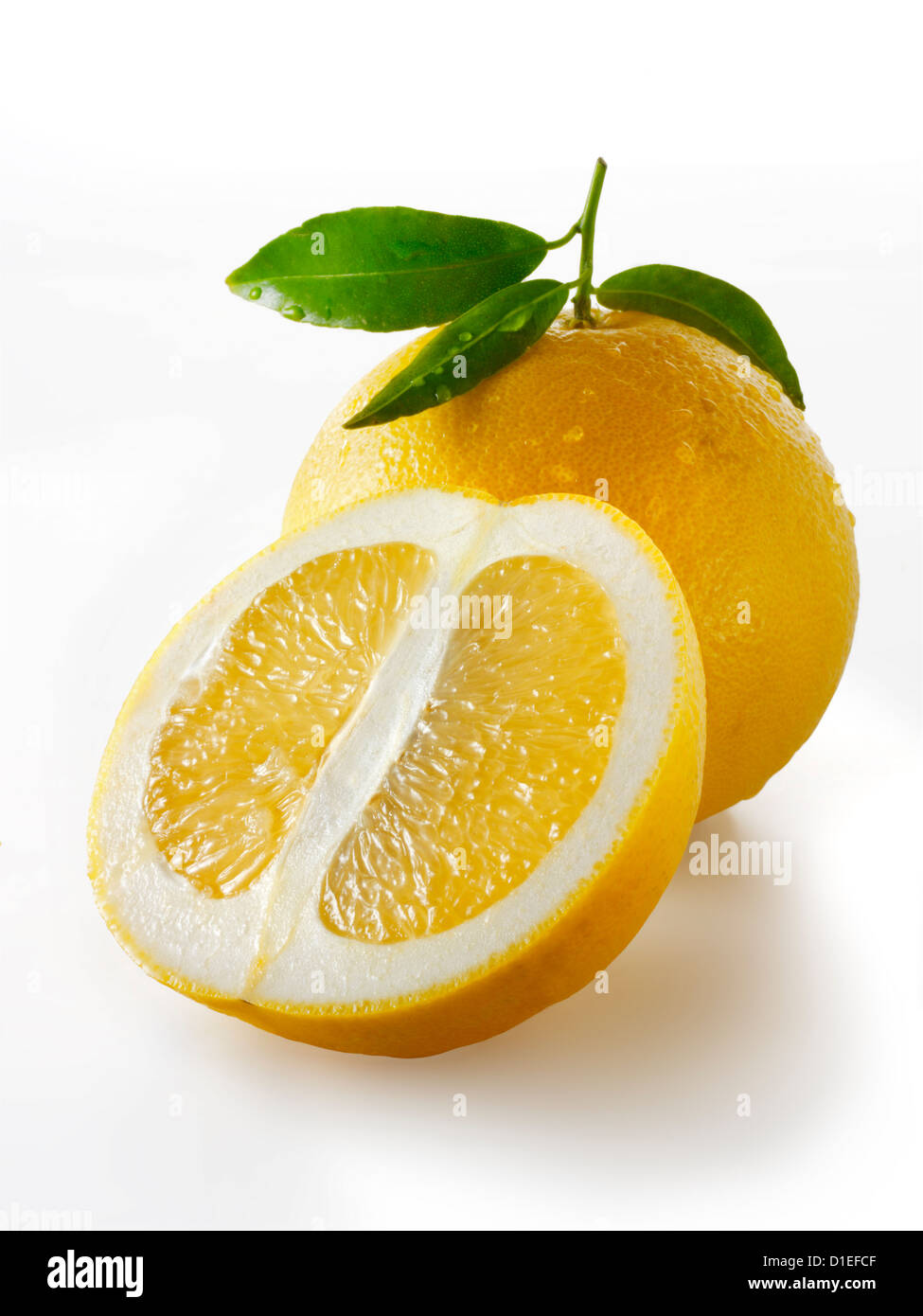 Fresh cut grapefruit with laeves Stock Photo - Alamy