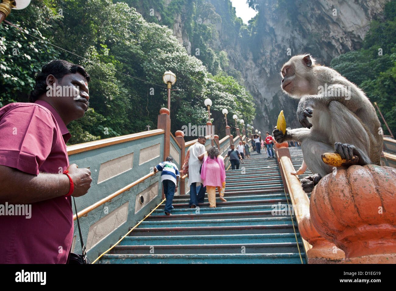 Man watching a monkey. Batu caves. Kuala Lumpur. Malaysia Stock Photo