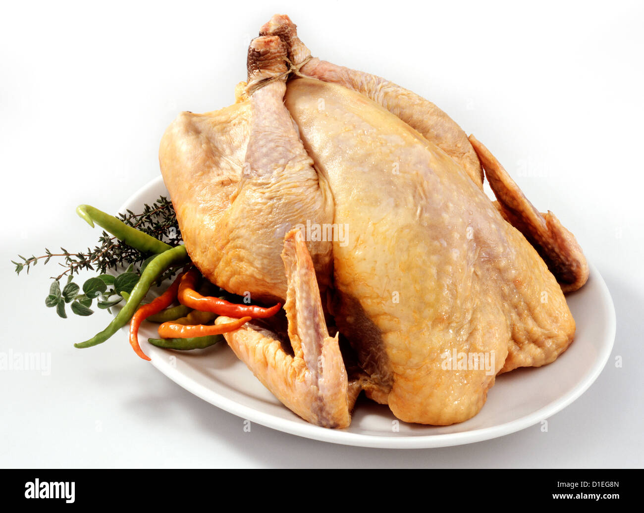Guinea fowl chicken Stock Photo
