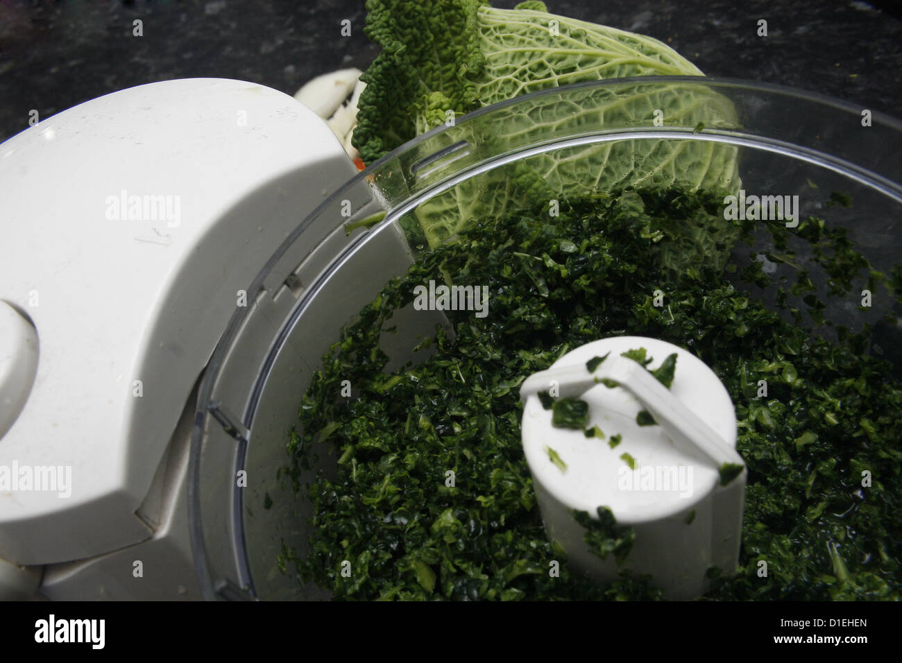 finely chopped savoy cabbage in food blender Stock Photo Alamy