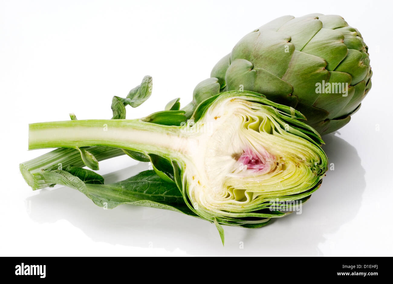 Artichoke cross section hires stock photography and images Alamy