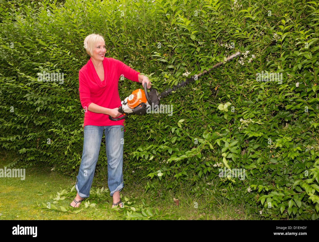 woman using a hedge trimmer tidying a hedge Stock Photo Alamy