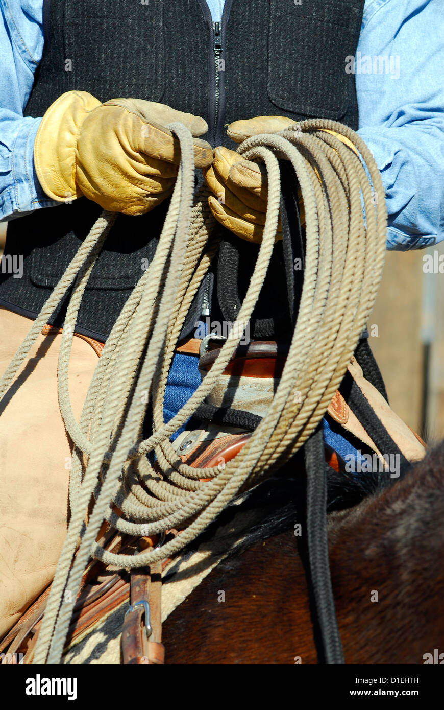 Cowgirl horse ranch lasso hi-res stock photography and images - Alamy