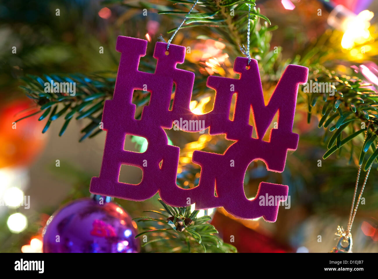 humbug word hanging on christmas tree Stock Photo