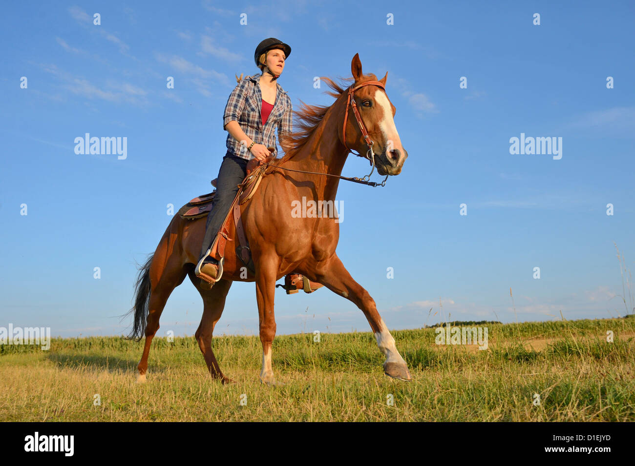Riding habit hi-res stock photography and images - Alamy