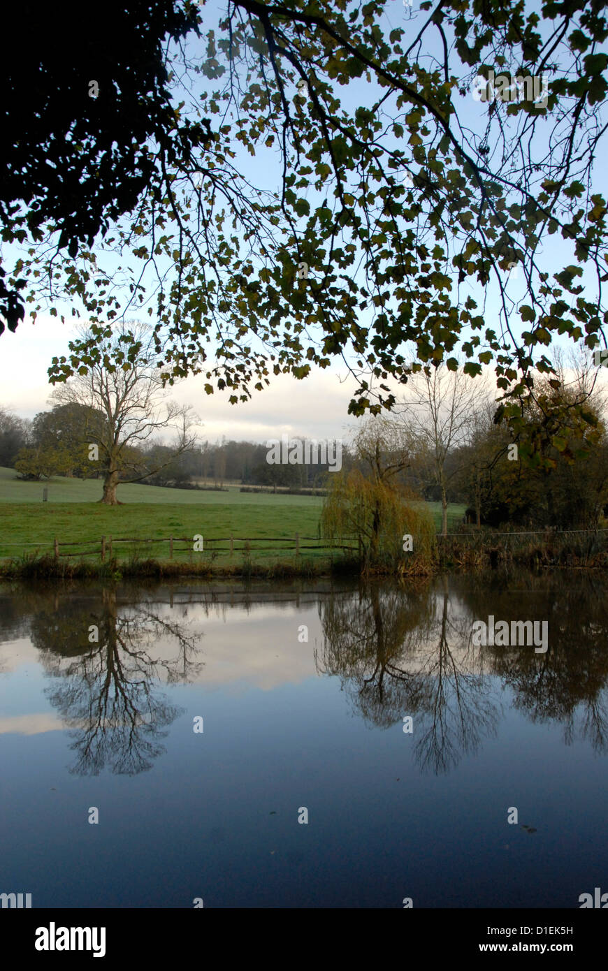 View of pond with trees mid Sussex Countryside, UK Stock Photo