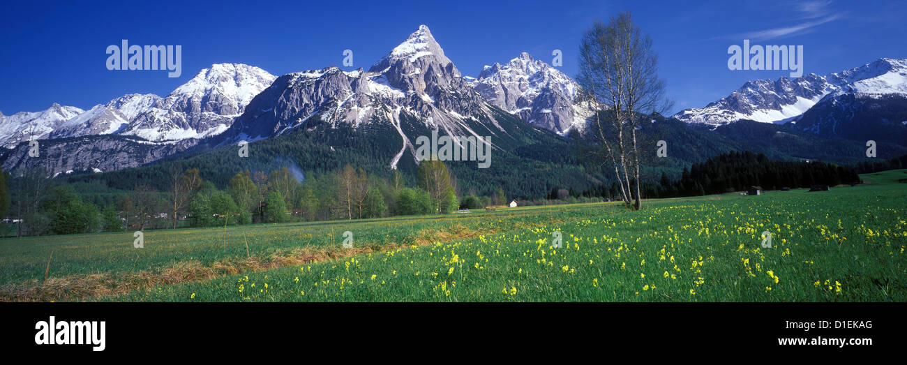 Alpine landscape at Ehrwald, Tyrol, Austria Stock Photo