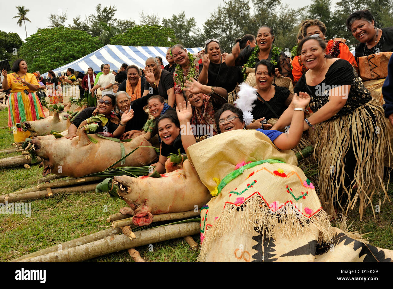 Performers pose with pigs at a traditional cultural ceremony at the bride's brother's home 2 days before the Royal Wedding Tonga Stock Photo