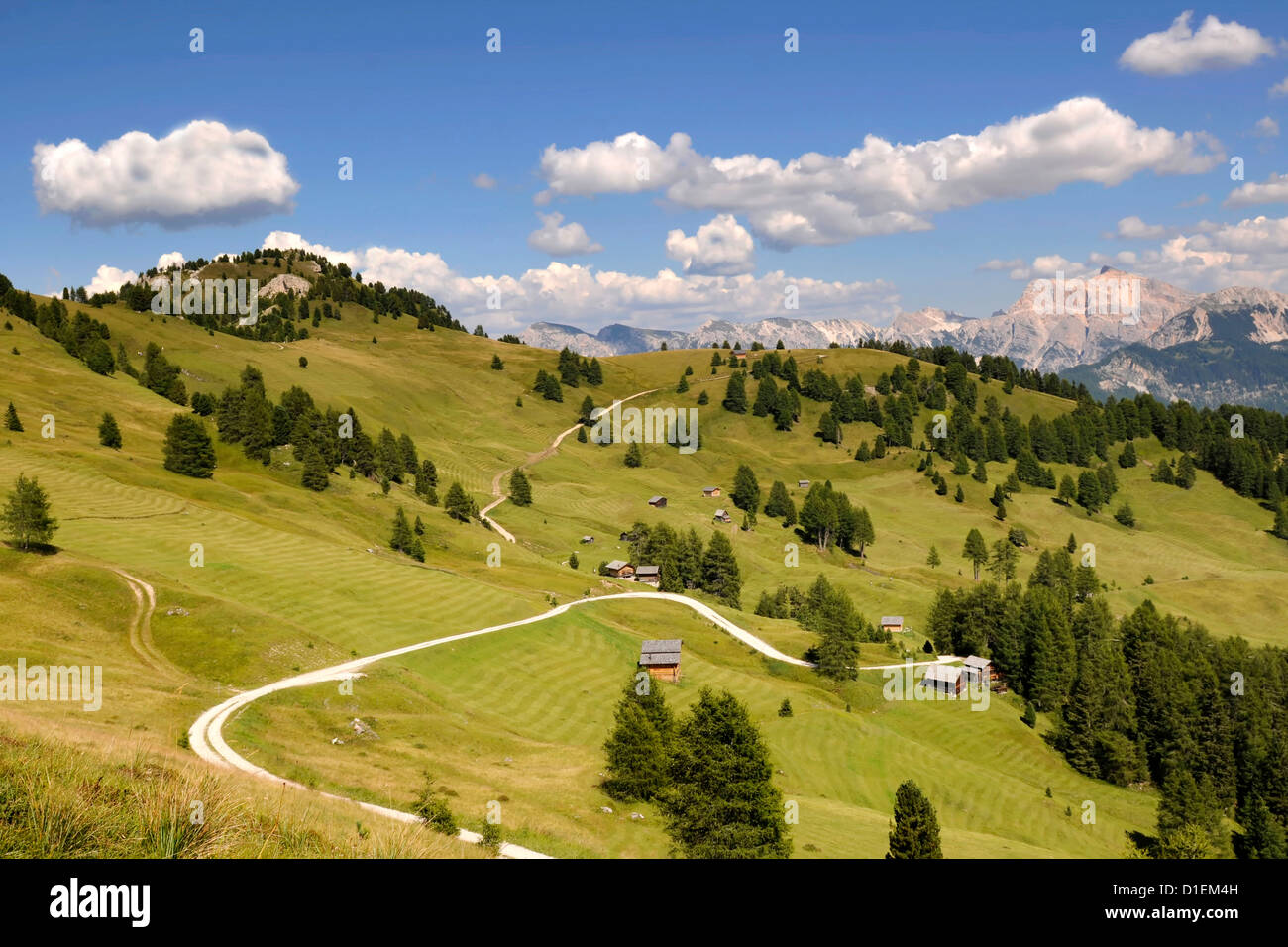Alpine meadowas in Puez-Geisler Nature Park, Dolomites, South Tyrol, Italy Stock Photo