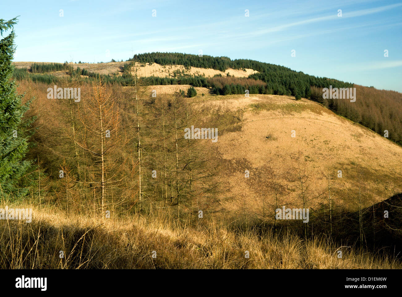 clydach vale country park cwm clydach rhondda valley south wales uk